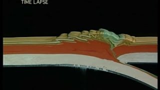 Plate Tectonics  How Mountains are Made [upl. by Yelik]