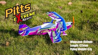 Micro 450mm RC Foamy Biplane DW Pitts [upl. by Aman]