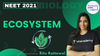 Ecosystem  NEET Biology  NEET 2021  Ritu Rattewal [upl. by Oletha617]