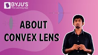 Convex Lens Explained [upl. by Chappy781]