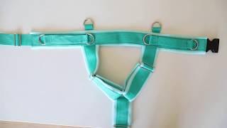 DIY Fleece Dog Harness [upl. by Whang28]