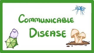 GCSE Biology  Communicable Disease 34 [upl. by Merideth]