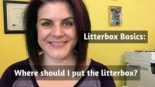 Litterbox Basics Where should I put my cats litterbox [upl. by Aiksas]