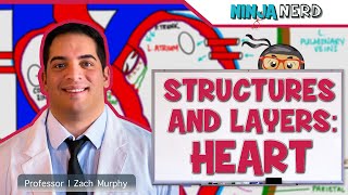 Cardiovascular  Structures and Layers of the Heart [upl. by Merfe]