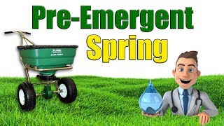 When to Put Down Spring Pre Emergent [upl. by Silera713]