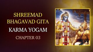 Karma Yogam with Lyrics  Chapter 3  Srimad Bhagavad Gita  T S Ranganathan [upl. by Bonnee]