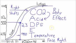 Physiology  The Oxygen–Hemoglobin Dissociation Curve [upl. by Hurless]