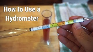 How to Use a Hydrometer for Winemaking [upl. by Ees]