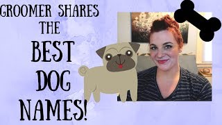 BEST DOG NAMES FROM A DOG GROOMER MALE FEMALE UNISEX PET NAMES [upl. by Ecnatsnok331]