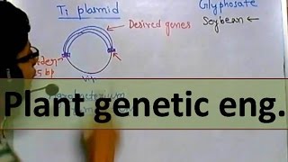 Genetic engineering in plants [upl. by Larianna898]