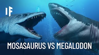 What If the Megalodon Shark Fought the Mosasaurus [upl. by Ydnew]