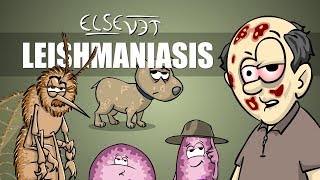 Leishmaniasis  Plain and Simple [upl. by Compton]