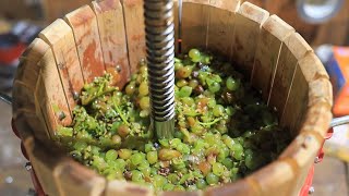 Making a White Wine from Grapes [upl. by Gentry591]