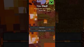 MINECRAFT DEATH MESSAGE SONG [upl. by Erapsag]