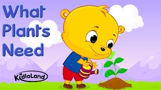 Needs of a Plant  Early Learning  Learn To Grow a Plant  Kidloland Preschool Song For Kids [upl. by Yelac]