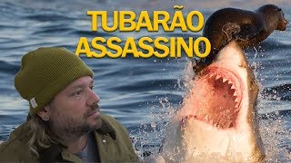 O ATAQUE DO TUBARÃO ASSASSINO TUBARÃO BRANCO  RICHARD RASMUSSEN [upl. by Schram]