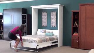 Wall Beds Murphy Wall Beds San Diego 1 [upl. by Ahsenac897]