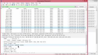 Investigating Network Loops [upl. by D'Arcy716]