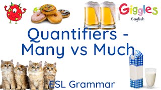 ESL Quantifiers  Many vs Much [upl. by Carrillo]