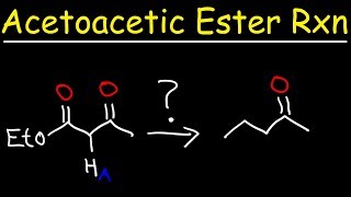 Acetoacetic Ester Synthesis Reaction Mechanism [upl. by Namruht5]