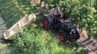 Obsthof Raddatz  Fendt 205P Becken Ausmähen [upl. by Haney]