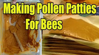 Making Pollen Patties For Bees [upl. by Nnair]