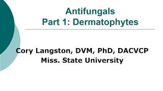 Antifungal Therapy in Veterinary Medicine Part 1 Dermatophytes [upl. by Refannej]