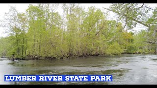 Guide to Lumber River State Park  Boating and camping on the river  Griffins Whirl 2 [upl. by Candice926]