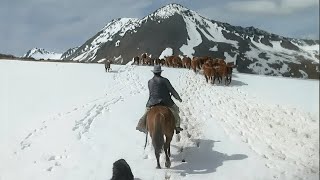 Colono en Tierra del Fuego [upl. by Adnar47]