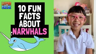 10 Fun Facts about Narwhals  Unicorn of the Sea [upl. by Tnelc251]