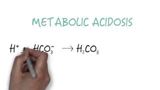 Bicarbonate  The Primary Buffer [upl. by Ecinreb253]