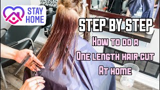 HOW TO CUT A ONE LENGTH HAIRCUT  HAIR TUTORIAL  STEP BY STEP [upl. by Bullivant26]