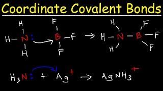 What is a Coordinate Covalent Bond [upl. by Pillsbury549]