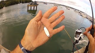 Mackerel Fishing  Shore amp Boat  Rigs Tips amp Tactics to CATCH MORE FISH [upl. by Eizzik]