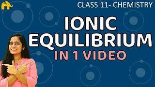 Ionic Equilibrium Chemistry Class 11 Chapter One Shot CBSE NEET JEE [upl. by Aihtela]