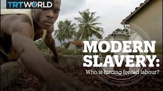 Modern Slavery Who is forcing forced labour [upl. by Nowahs227]