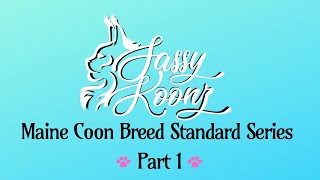 Maine Coon Breed Standard Series Part 1 Sassy Koonz Maine Coon Cattery [upl. by Burlie]