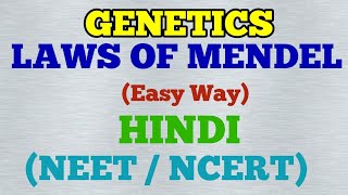 Genetics  Laws of Mendel Easy Way Hindi [upl. by Hanan676]