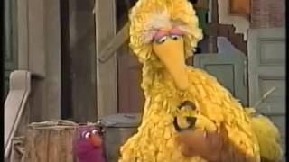 My Sesame Street Home Video Learning About Letters [upl. by Fuld]