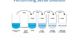 Serial Dilution Methods amp Calaculations [upl. by Ilyah]