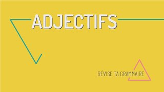 Révise ta grammaire  laccord des adjectifs en français A1A2 [upl. by Gerson80]