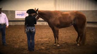 Showmanship SetUp Tips [upl. by Thema583]