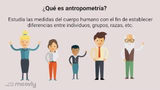 Factores Humanos Antropometría [upl. by Ahsaele]