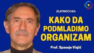 MISAONA MEDICINA  Spasoje Vlajić  Audio predavanje 019 [upl. by Myron]