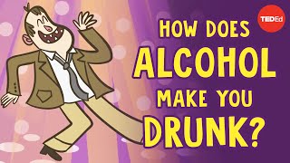 How does alcohol make you drunk  Judy Grisel [upl. by Anatlus]