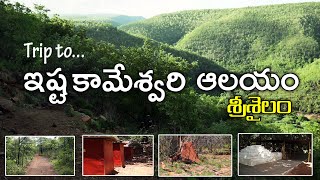 Trip to Srisailam forest ISHTA KAMESWARI TEMPLE [upl. by Notsirt]