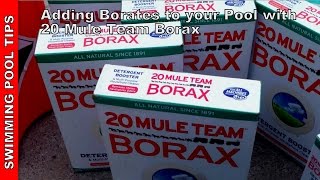 Adding Borates to Your Pool with 20 Mule Team Borax level of 3050 ppm [upl. by Annazor]