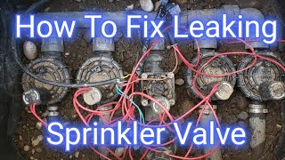 How To Fix A Leaking Hunter PGV Sprinkler Valve Step By Step [upl. by Adnawat]