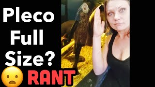 Pleco Fish Full Size Length RANT [upl. by Madge]