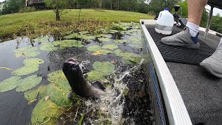 Jug Fishing for Catfish in Bayou Liberty  Slidell La [upl. by Ahtaela]